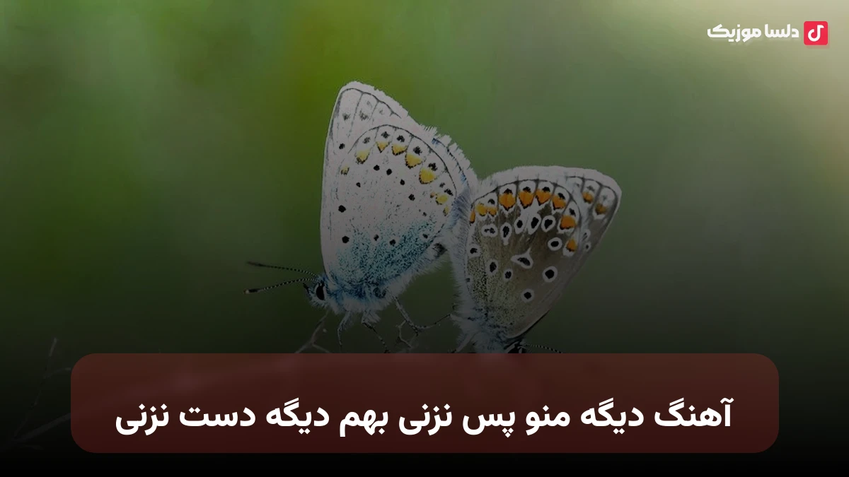  دیگه منو پس نزنی بهم دیگه دست نزنی صدای زن